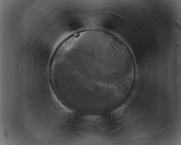 X0000103291053200809261245