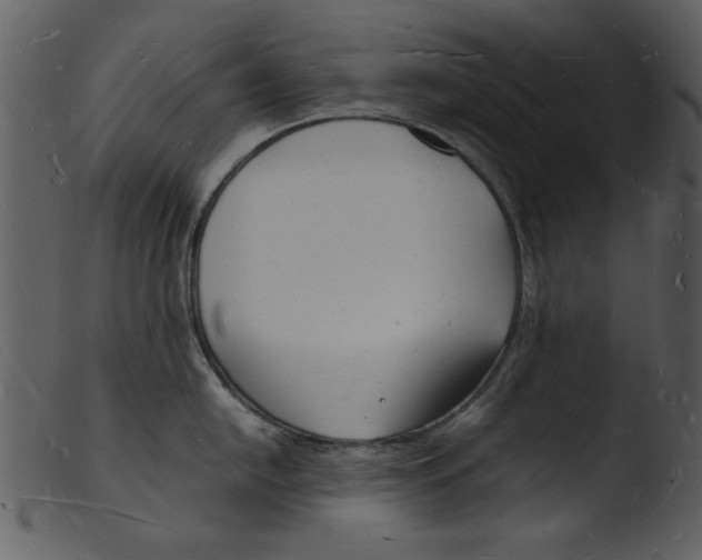 X0000103291054200809261245