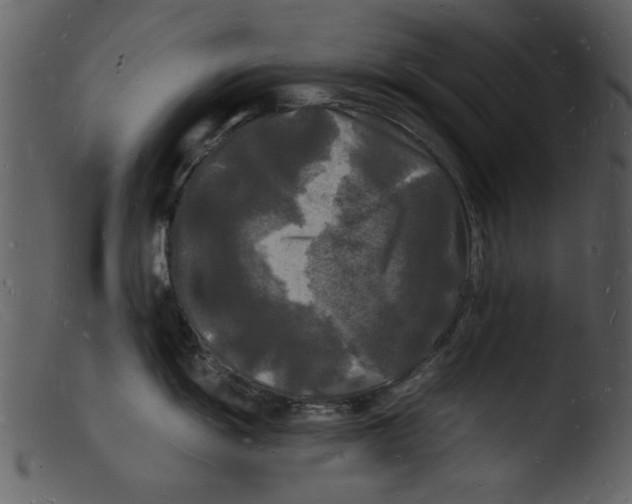 X0000103291055200809261245