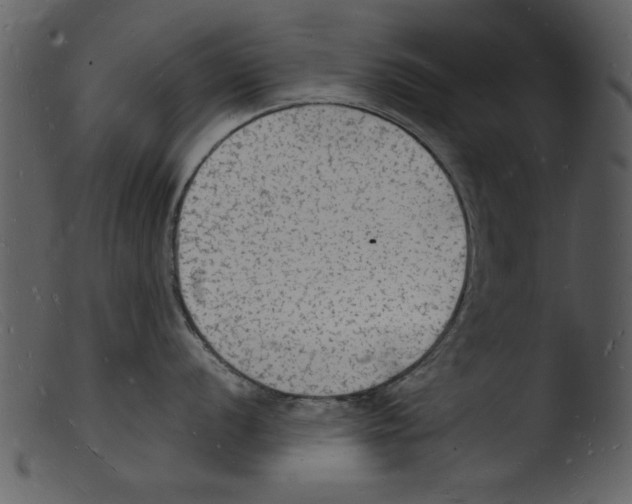 X0000103291056200809261245
