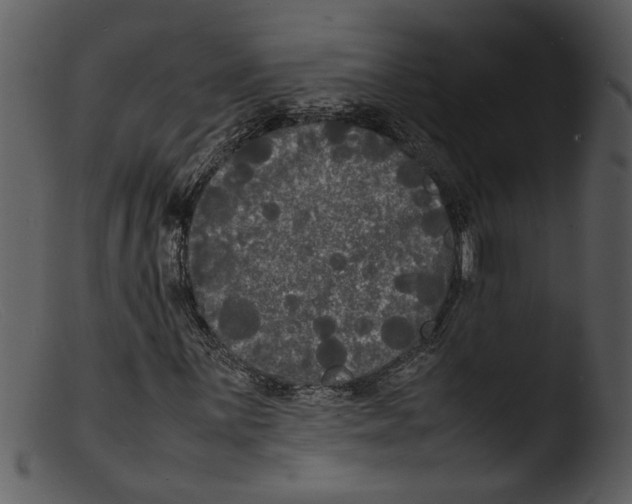X0000103291059200809261244