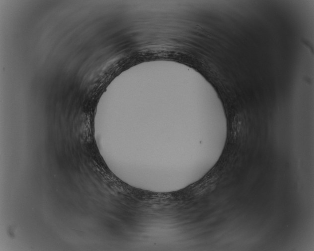 X0000103291062200809261244