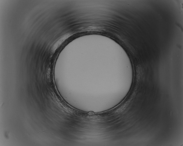 X0000103291066200809261244