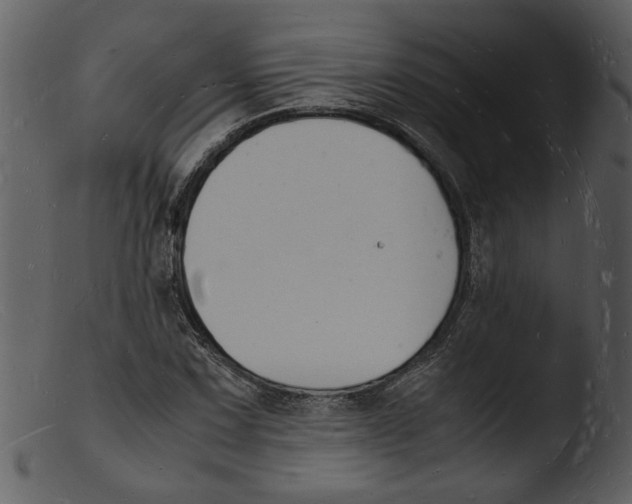 X0000103291067200809261244