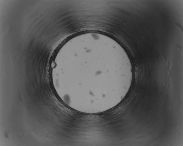 X0000103291068200809261244