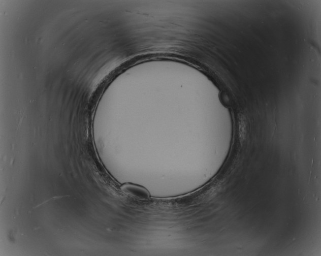 X0000103291069200809261244