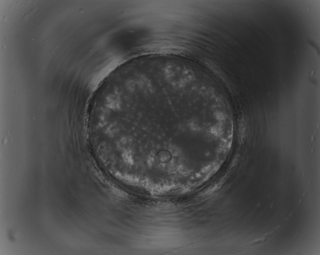X0000103291071200809261244