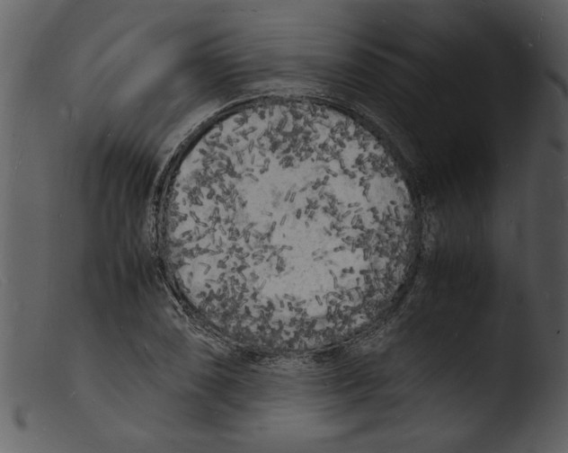 X0000103291074200809261244