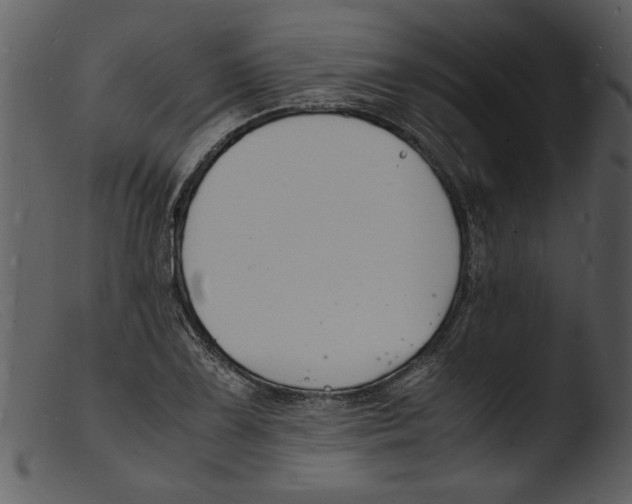 X0000103291075200809261244