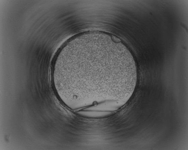 X0000103291076200809261244