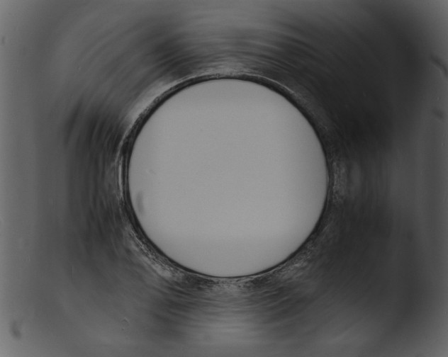 X0000103291078200809261244