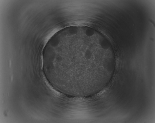 X0000103291079200809261244
