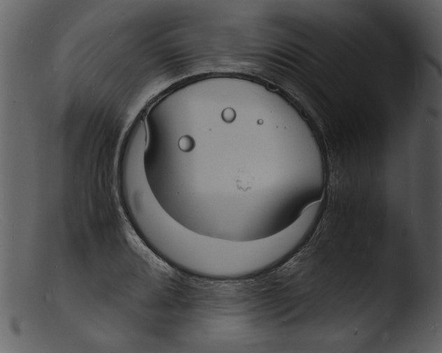 X0000103291080200809261244