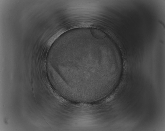 X0000103291081200809261244