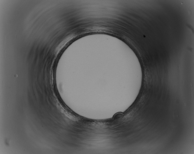 X0000103291082200809261244