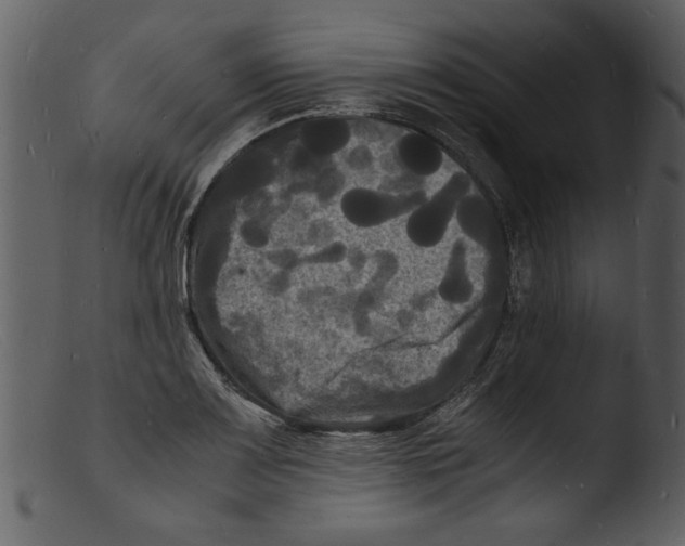 X0000103291083200809261244