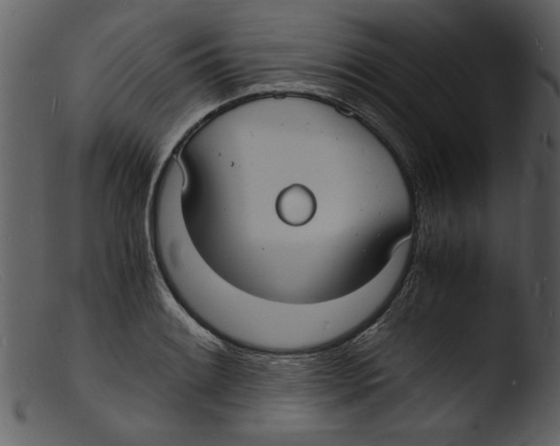 X0000103291084200809261244