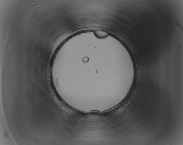 X0000103291085200809261244