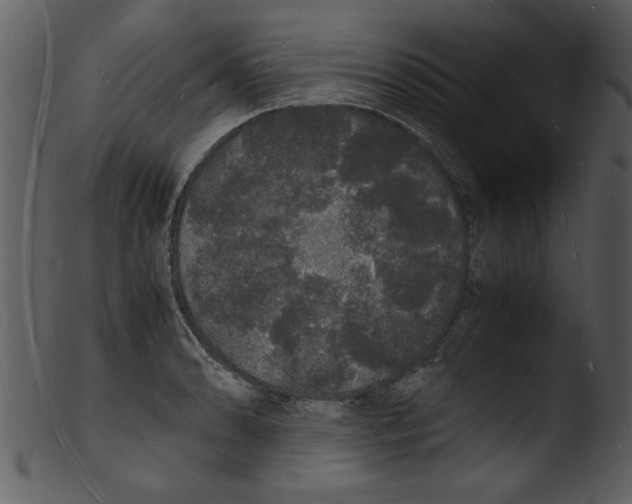 X0000103291086200809261244