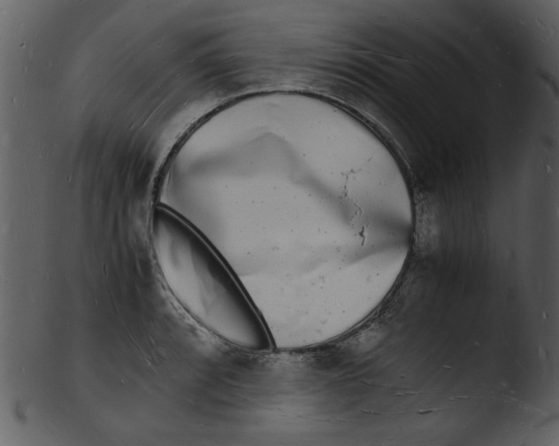 X0000103291088200809261244