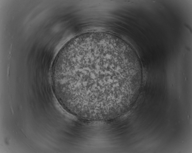 X0000103291090200809261244