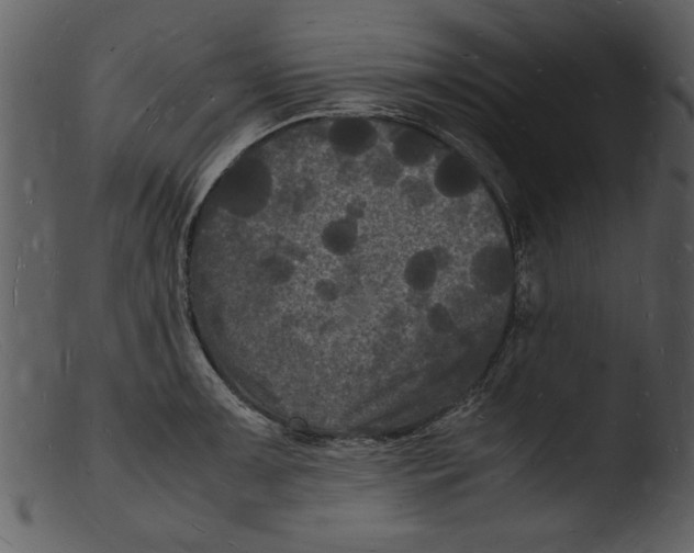 X0000103291091200809261244