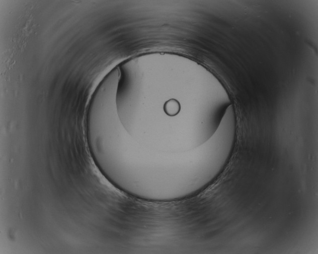 X0000103291092200809261244