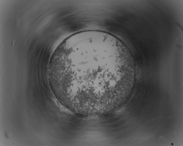 X0000103291094200809261244