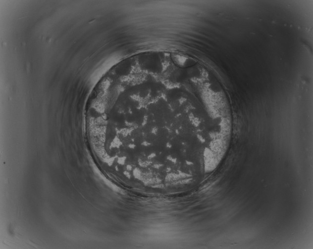 X0000103291095200809261244