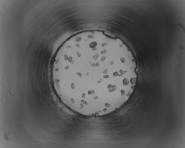 X0000103291096200809261244