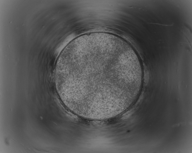 X0000103291097200809261244