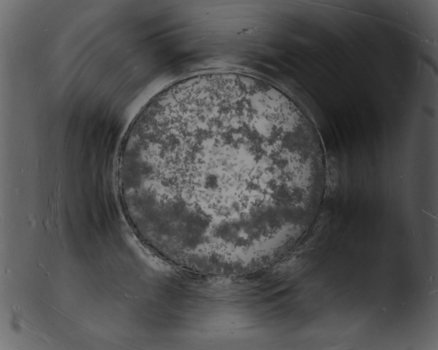 X0000103291098200809261244