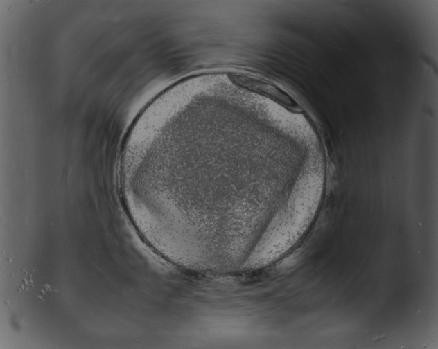 X0000103291101200809261243
