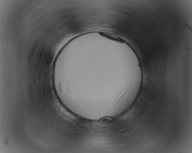 X0000103291102200809261243