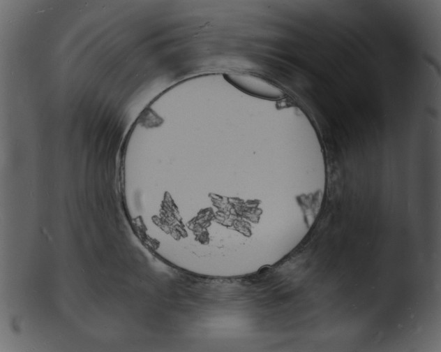 X0000103291103200809261243