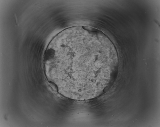 X0000103291104200809261243