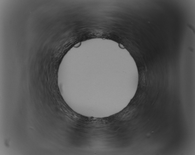 X0000103291105200809261243