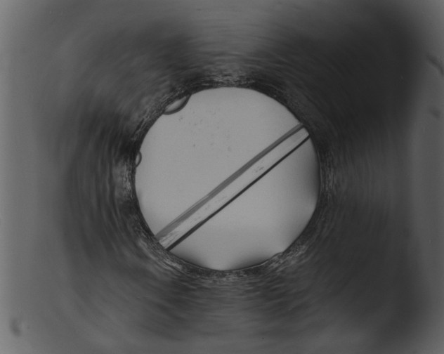 X0000103291106200809261243