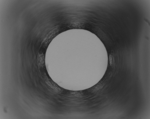 X0000103291107200809261243