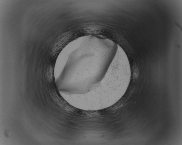 X0000103291108200809261243