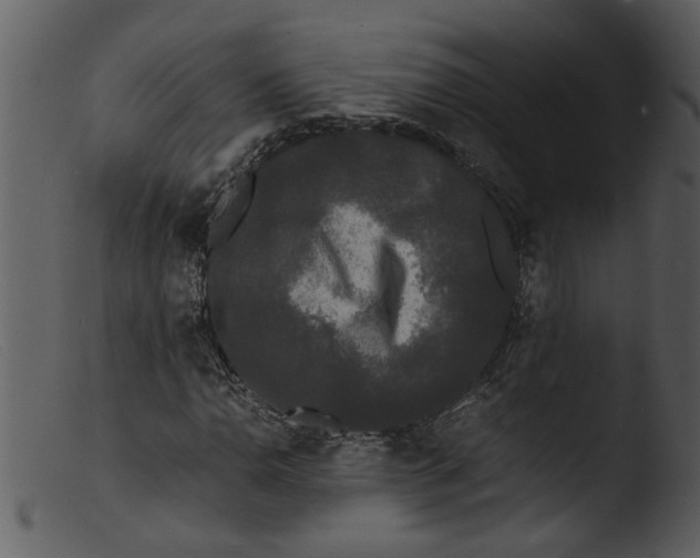 X0000103291110200809261243