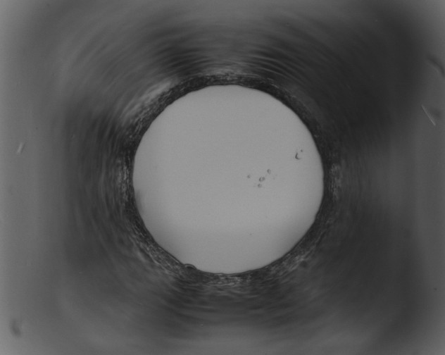 X0000103291111200809261243