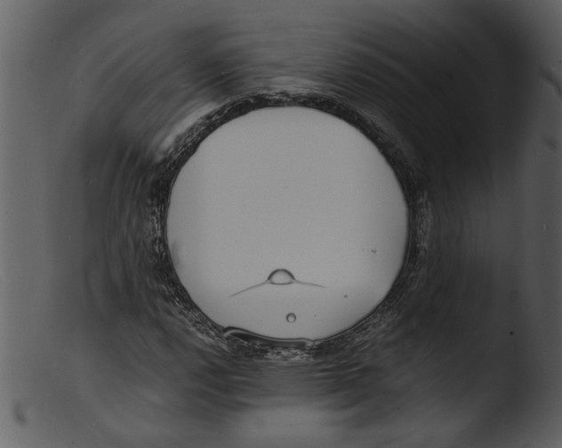 X0000103291112200809261243