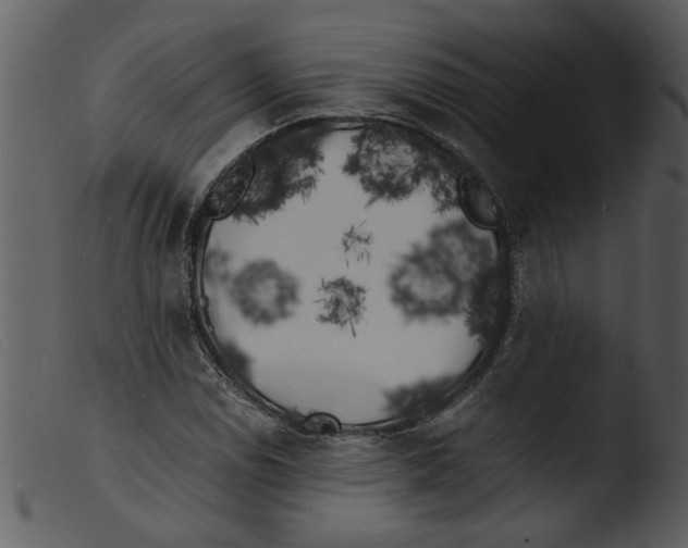 X0000103291114200809261243