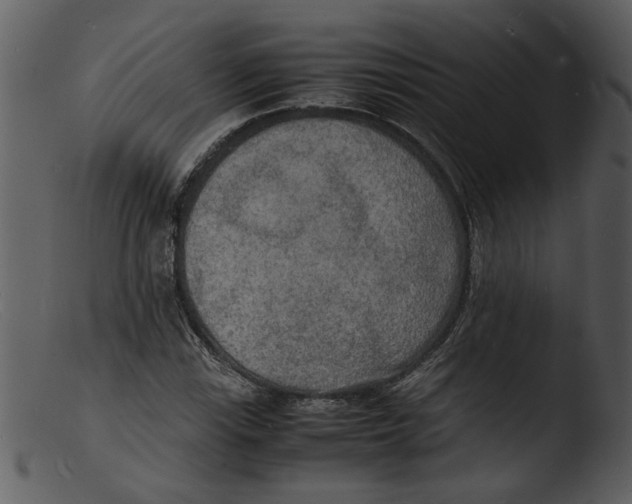X0000103291115200809261243
