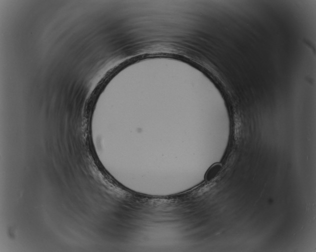 X0000103291116200809261243