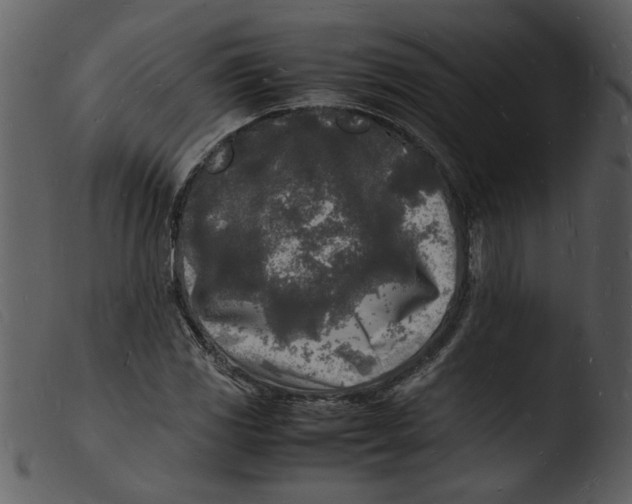X0000103291117200809261243