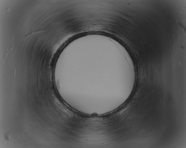 X0000103291118200809261243