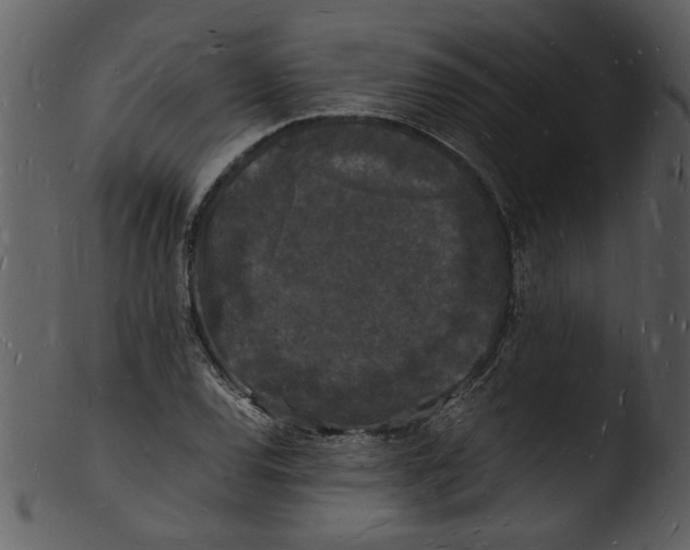 X0000103291120200809261243