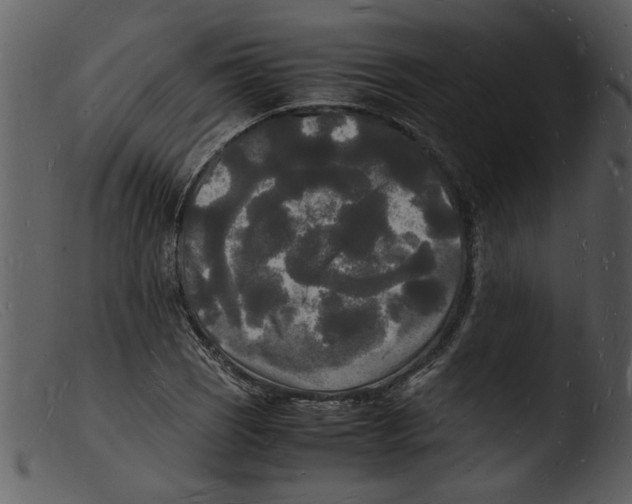 X0000103291121200809261243